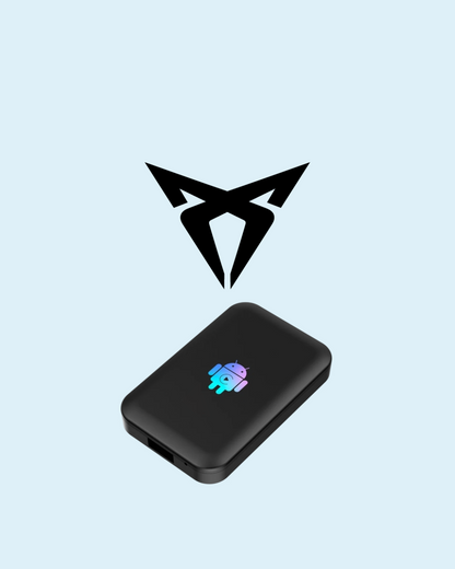 Youtube e Netflix AI-Box per Cupra