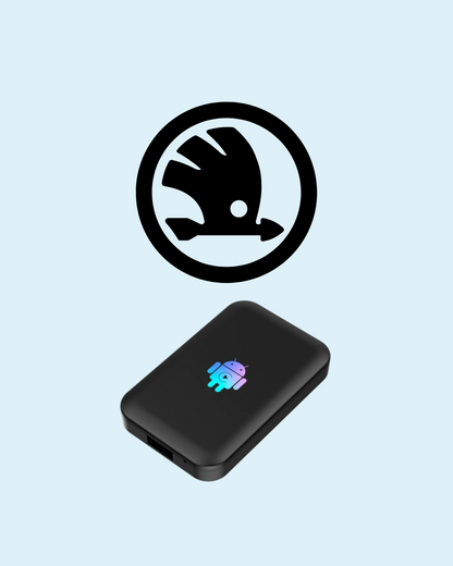 AI-Box Youtube e Netflix per Skoda