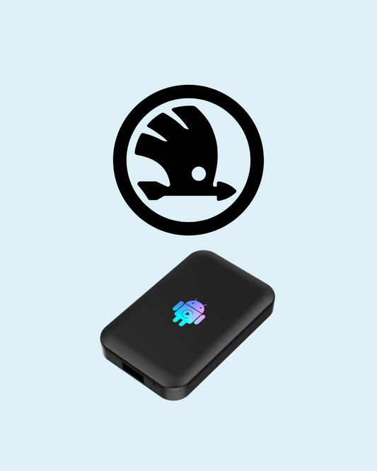 AI-Box Youtube e Netflix per Skoda